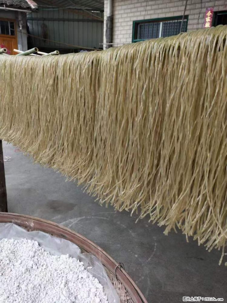 【灌阳正宗红薯粉】美女家里自己做的，干净卫生，假一赔十，价格合理，抢购电话：13737312895 - 美食天地 - 巴彦淖尔盟生活社区 - 巴彦淖尔盟28生活网 bycem.28life.net