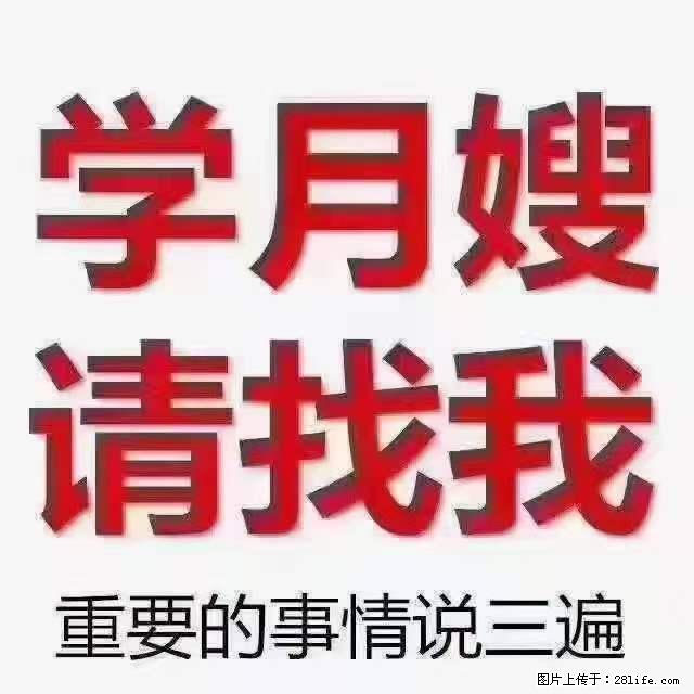 为什么要学习月嫂，育婴师？ - 其他广告 - 广告专区 - 巴彦淖尔盟分类信息 - 巴彦淖尔盟28生活网 bycem.28life.net