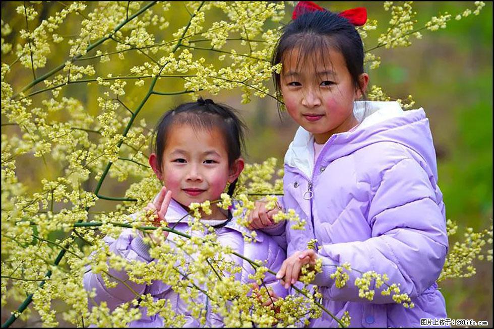 【春天，广西桂林灌阳县向您发出邀请！】米珠山前有片山苍子花在飘香 - 游山玩水 - 巴彦淖尔盟生活社区 - 巴彦淖尔盟28生活网 bycem.28life.net
