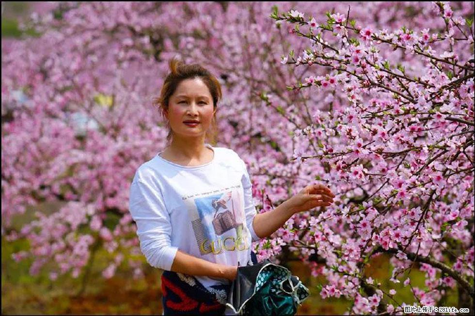 【春天，广西桂林灌阳县向您发出邀请！】官庄村有个醉美的桃花园 - 游山玩水 - 巴彦淖尔盟生活社区 - 巴彦淖尔盟28生活网 bycem.28life.net