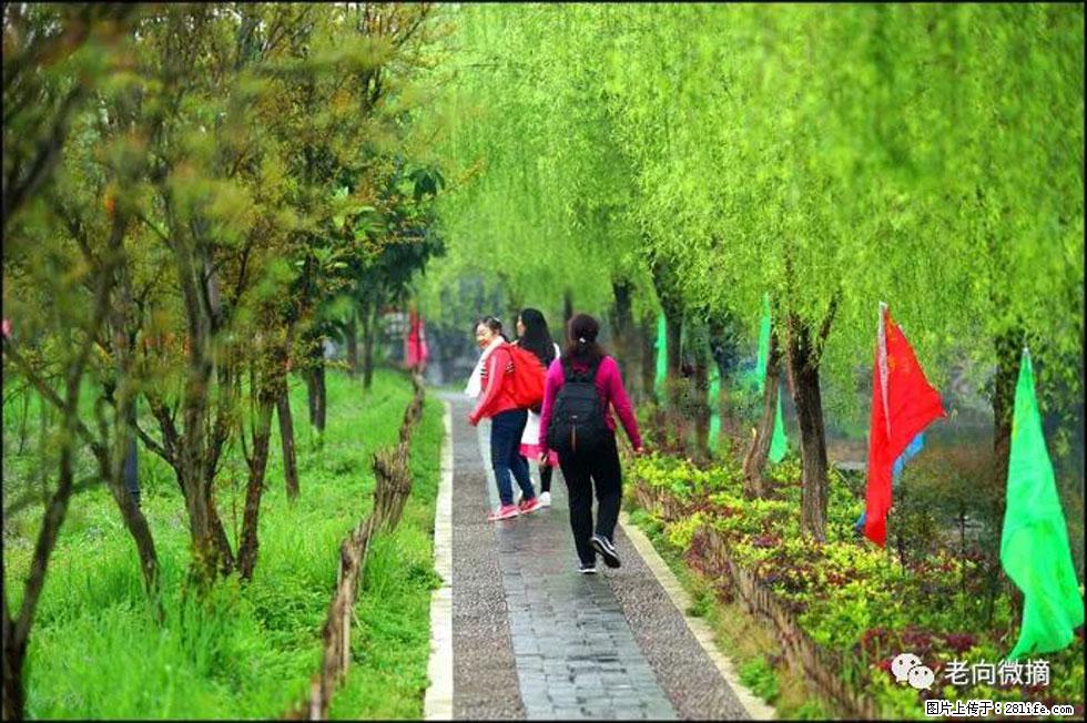 【春天，广西桂林灌阳县向您发出邀请！】江口老街又逢春 - 游山玩水 - 巴彦淖尔盟生活社区 - 巴彦淖尔盟28生活网 bycem.28life.net