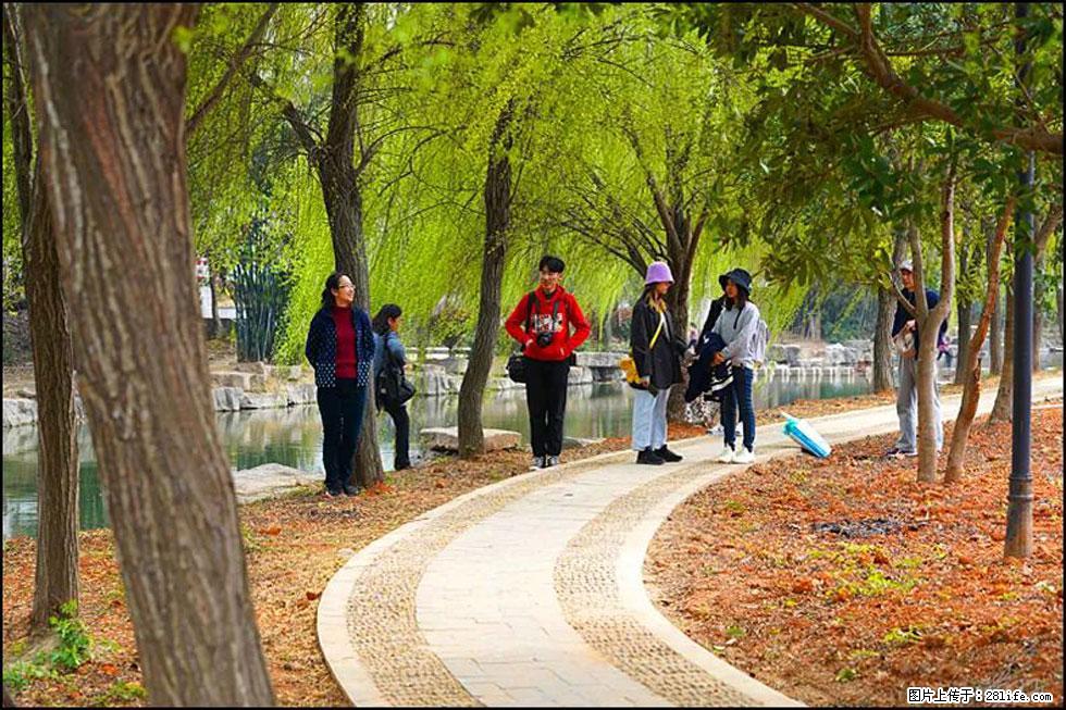 【春天，广西桂林灌阳县向您发出邀请！】江口老街又逢春 - 游山玩水 - 巴彦淖尔盟生活社区 - 巴彦淖尔盟28生活网 bycem.28life.net