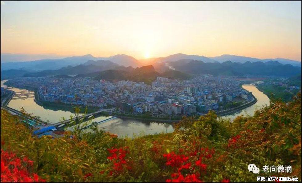 【春天，广西桂林灌阳县向您发出邀请！】登麒麟山，相约映山红 - 游山玩水 - 巴彦淖尔盟生活社区 - 巴彦淖尔盟28生活网 bycem.28life.net