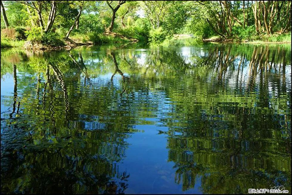 【春天，广西桂林灌阳县向您发出邀请！】熊家寨湿地公园 - 游山玩水 - 巴彦淖尔盟生活社区 - 巴彦淖尔盟28生活网 bycem.28life.net