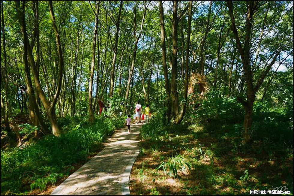 【春天，广西桂林灌阳县向您发出邀请！】熊家寨湿地公园 - 游山玩水 - 巴彦淖尔盟生活社区 - 巴彦淖尔盟28生活网 bycem.28life.net