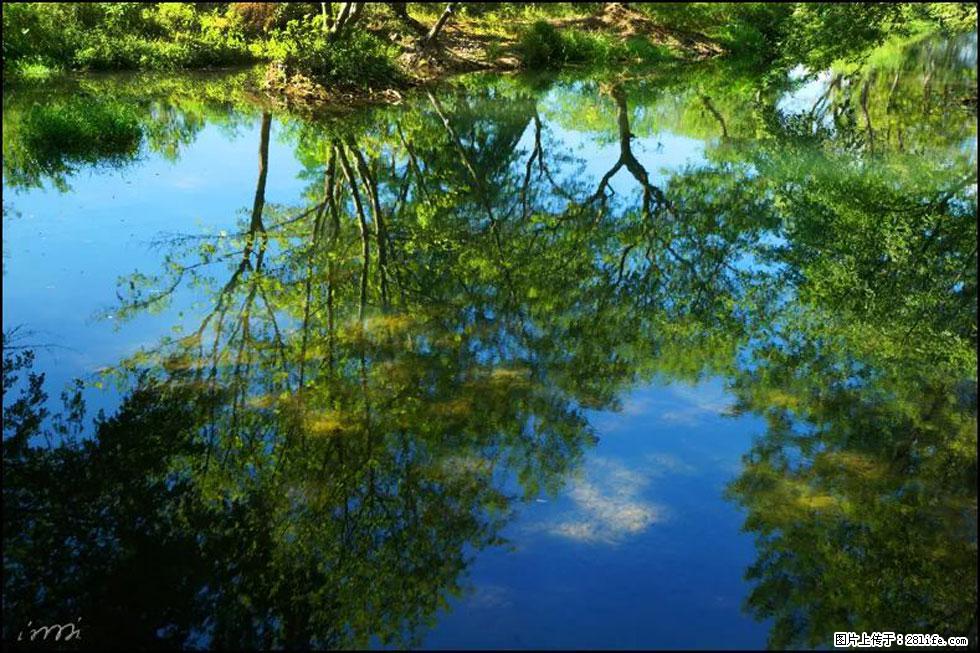 【春天，广西桂林灌阳县向您发出邀请！】熊家寨湿地公园 - 游山玩水 - 巴彦淖尔盟生活社区 - 巴彦淖尔盟28生活网 bycem.28life.net