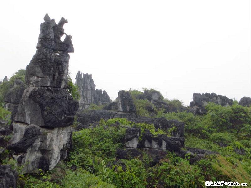 桂林旅游名城景点：灌阳文市石林 - 游山玩水 - 巴彦淖尔盟生活社区 - 巴彦淖尔盟28生活网 bycem.28life.net