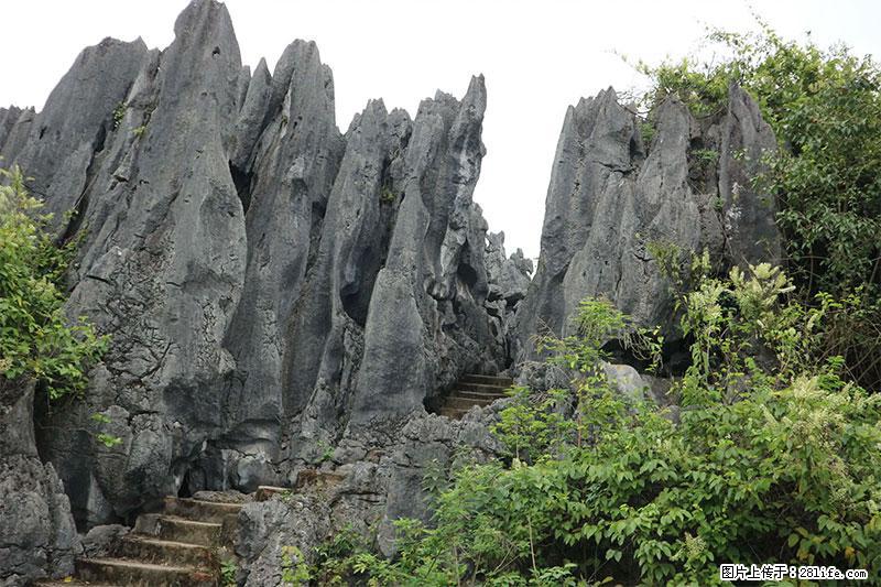 桂林旅游名城景点：灌阳文市石林 - 游山玩水 - 巴彦淖尔盟生活社区 - 巴彦淖尔盟28生活网 bycem.28life.net