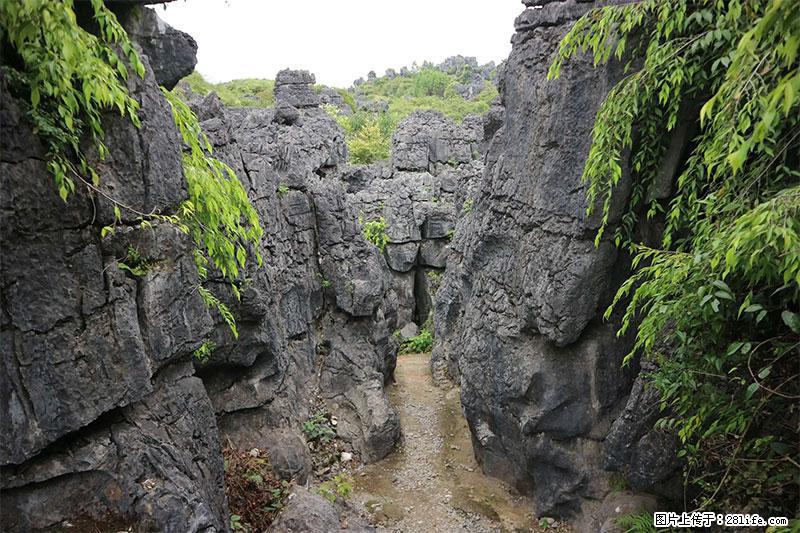 桂林旅游名城景点：灌阳文市石林 - 游山玩水 - 巴彦淖尔盟生活社区 - 巴彦淖尔盟28生活网 bycem.28life.net