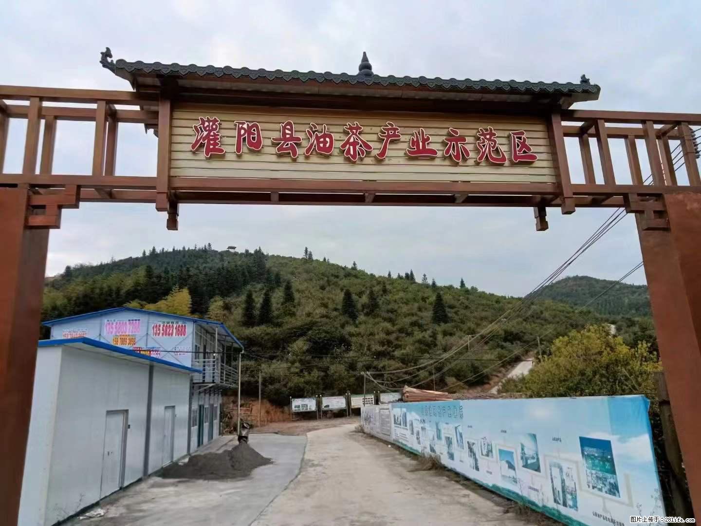 【灌阳县油茶产业示范区】一个有着充实的精神生活的人，对待身外之物自会有一种淡泊的态度 - 美食天地 - 巴彦淖尔盟生活社区 - 巴彦淖尔盟28生活网 bycem.28life.net