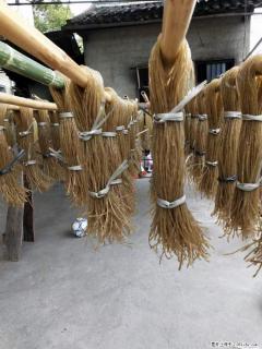 【灌阳正宗红薯粉】美女家里自己做的，干净卫生，假一赔十，价格合理，抢购电话：13737312895 - 巴彦淖尔盟28生活网 bycem.28life.net