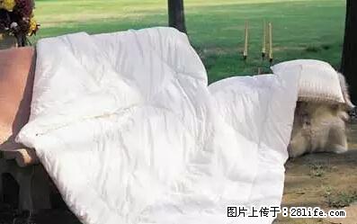 被子有异味？只要这样做，比晒太阳还强100倍！ - 家居生活 - 巴彦淖尔盟生活社区 - 巴彦淖尔盟28生活网 bycem.28life.net
