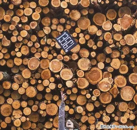 辞掉工作周游世界？现在他们在洗厕所…… - 游山玩水 - 巴彦淖尔盟生活社区 - 巴彦淖尔盟28生活网 bycem.28life.net