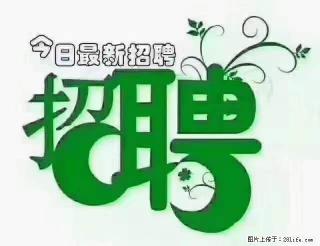【招聘摄像师】待遇：试用期6000元/月，转正7000元/月+五险一金+餐补+节日福利+奖金 - 巴彦淖尔盟28生活网 bycem.28life.net