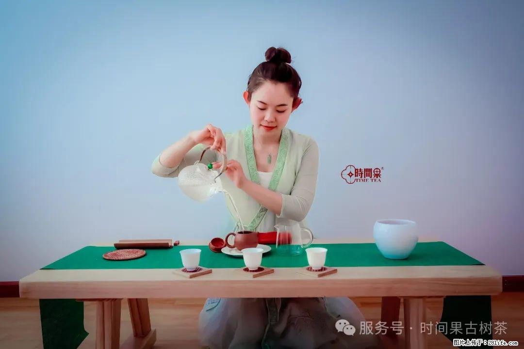 时间果百年古树龙珠普洱生茶 - 购物交流 - 巴彦淖尔盟生活社区 - 巴彦淖尔盟28生活网 bycem.28life.net