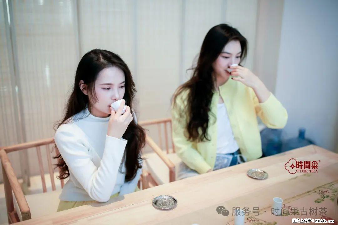 时间果百年古树龙珠普洱生茶 - 购物交流 - 巴彦淖尔盟生活社区 - 巴彦淖尔盟28生活网 bycem.28life.net