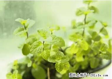 晕车、脚气、牙齿变黄、皮肤粗糙？学会这些三分钟搞定！ - 巴彦淖尔盟生活资讯 - 巴彦淖尔盟28生活网 bycem.28life.net
