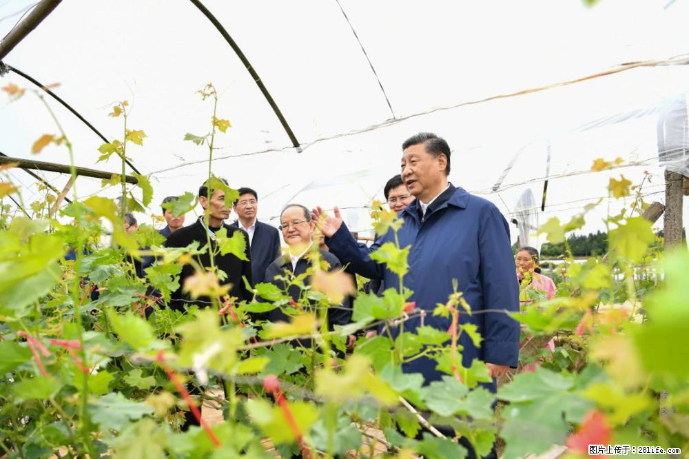 习近平赴广西考察调研 - 巴彦淖尔盟生活资讯 - 巴彦淖尔盟28生活网 bycem.28life.net