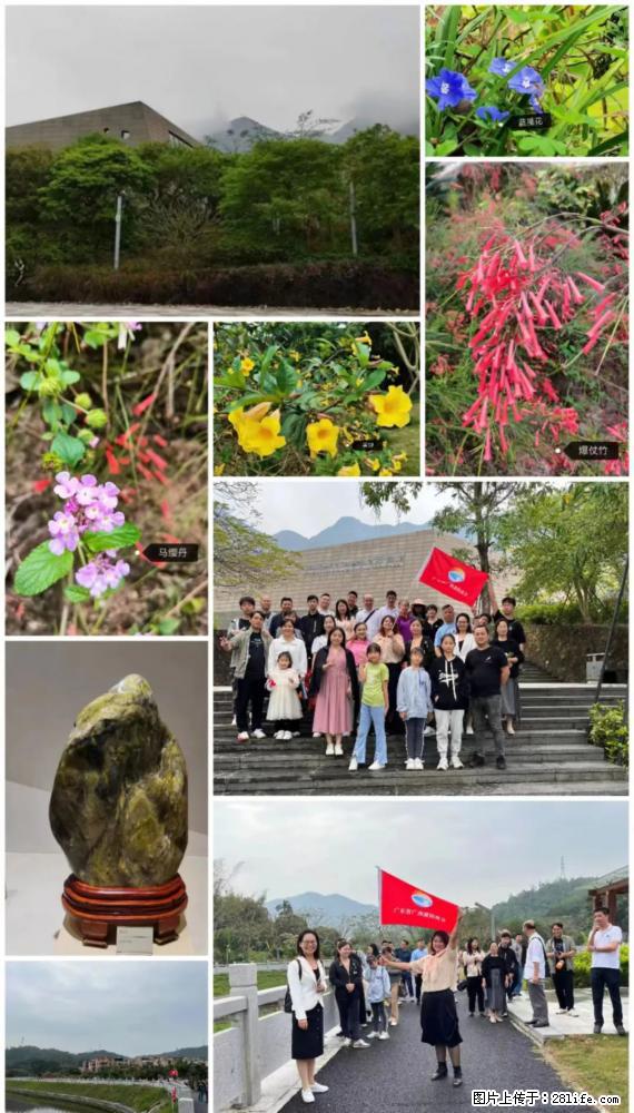 “粤灌文化 美好生活”油茶文化主题活动在广东深圳成功举办 - 巴彦淖尔盟生活资讯 - 巴彦淖尔盟28生活网 bycem.28life.net