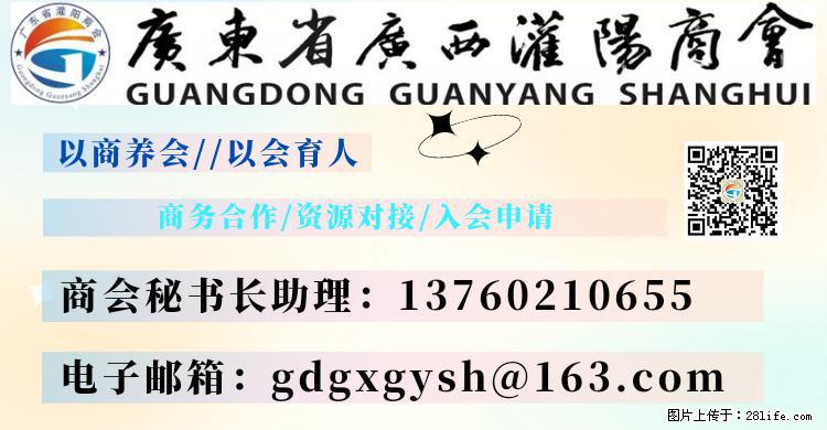 “粤灌文化 美好生活”油茶文化主题活动在广东深圳成功举办 - 巴彦淖尔盟生活资讯 - 巴彦淖尔盟28生活网 bycem.28life.net