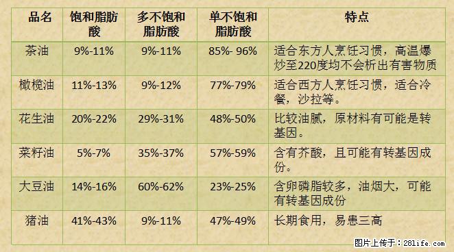揭秘茶油的5大核心营养成分！被称为人体健康的“守护盾”！ - 巴彦淖尔盟生活资讯 - 巴彦淖尔盟28生活网 bycem.28life.net