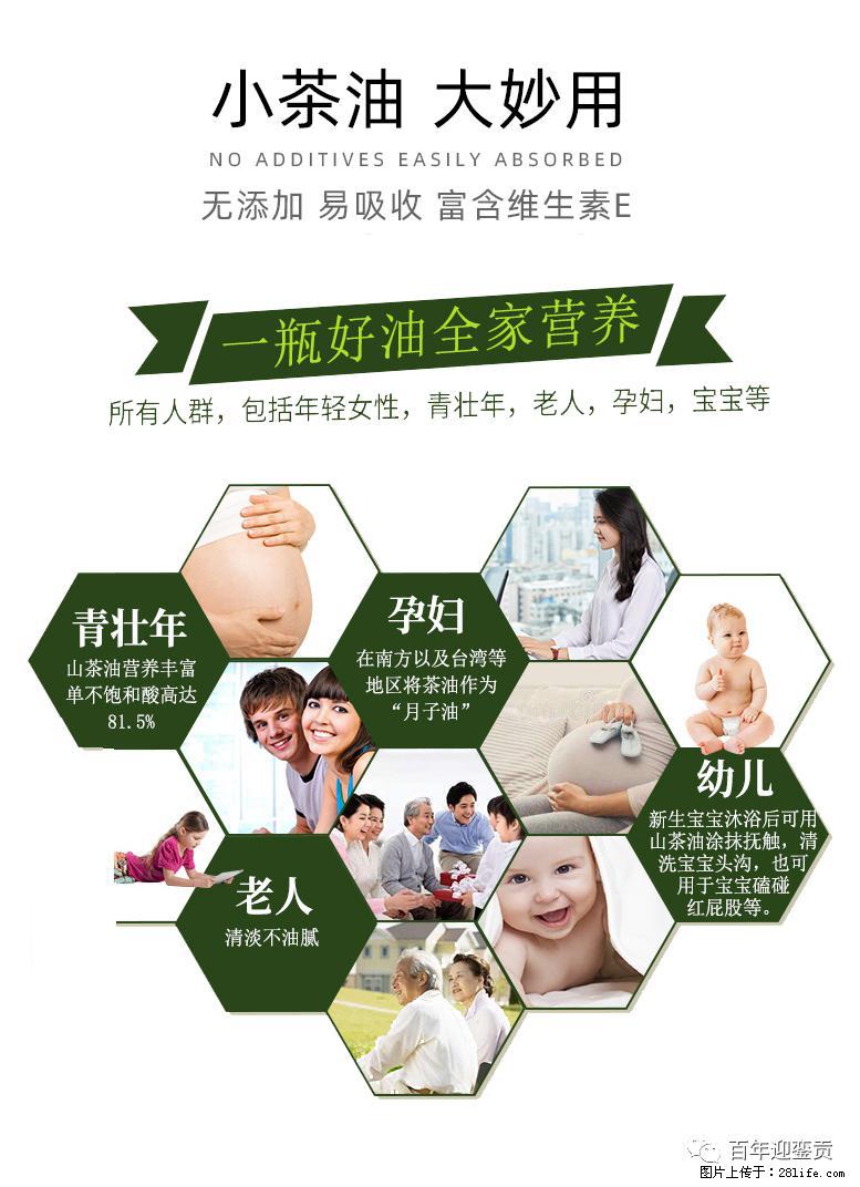 世界没有真相，只有认知，最好的食用油是中国的山茶油！ - 巴彦淖尔盟生活资讯 - 巴彦淖尔盟28生活网 bycem.28life.net