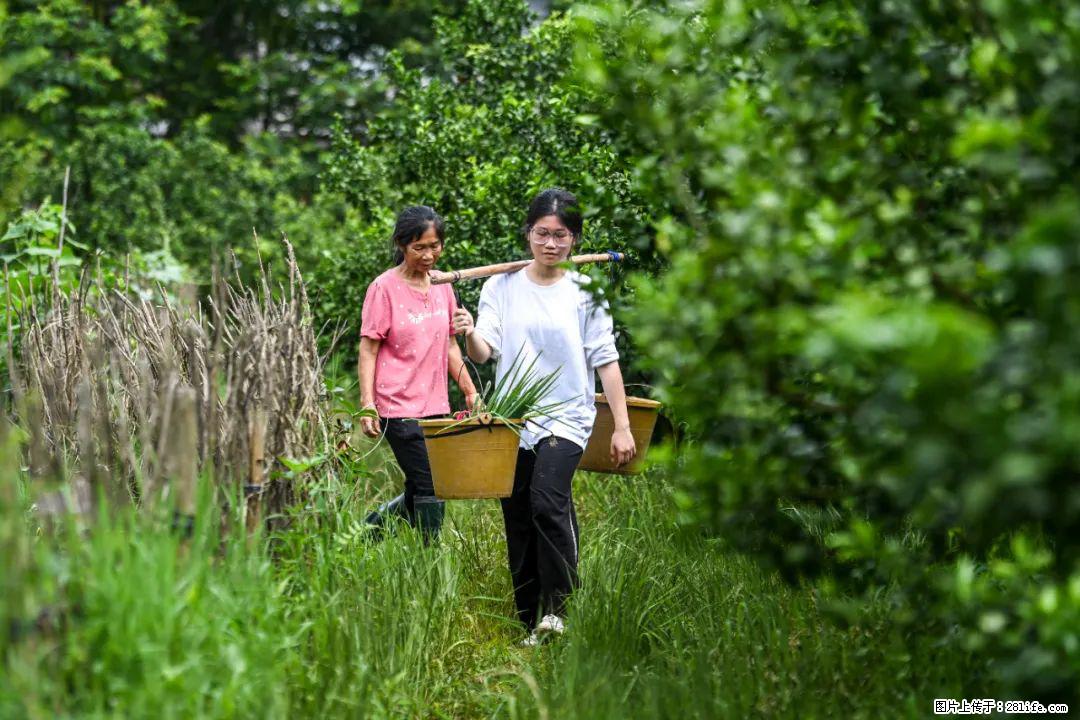 全网追的“扁担女孩”，找了一份暑假工，时薪12元 - 巴彦淖尔盟生活资讯 - 巴彦淖尔盟28生活网 bycem.28life.net
