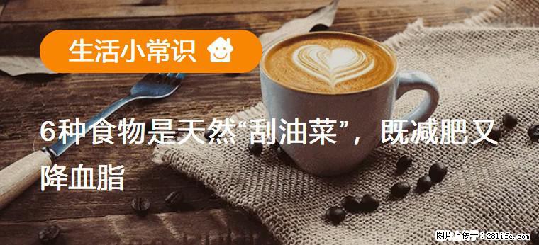 【生活小常识】6种食物是天然“刮油菜”，既减肥又降血脂 - 巴彦淖尔盟生活资讯 - 巴彦淖尔盟28生活网 bycem.28life.net