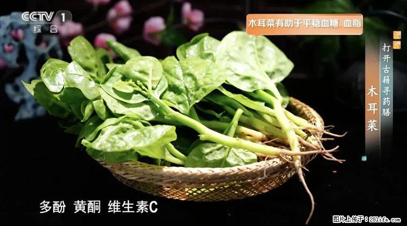 比牛奶补钙还厉害！凉血解毒、稳血糖...这菜冬天必吃，很多人却当草 - 巴彦淖尔盟生活资讯 - 巴彦淖尔盟28生活网 bycem.28life.net
