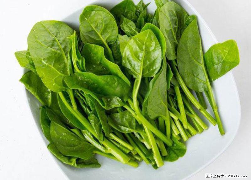 这些蔬菜是“天然钙片”，这6种被医生重点推荐 - 巴彦淖尔盟生活资讯 - 巴彦淖尔盟28生活网 bycem.28life.net