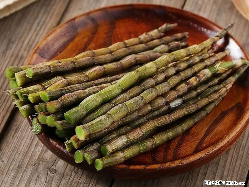 铁皮石斛的作用与功能主治 - 巴彦淖尔盟生活资讯 - 巴彦淖尔盟28生活网 bycem.28life.net